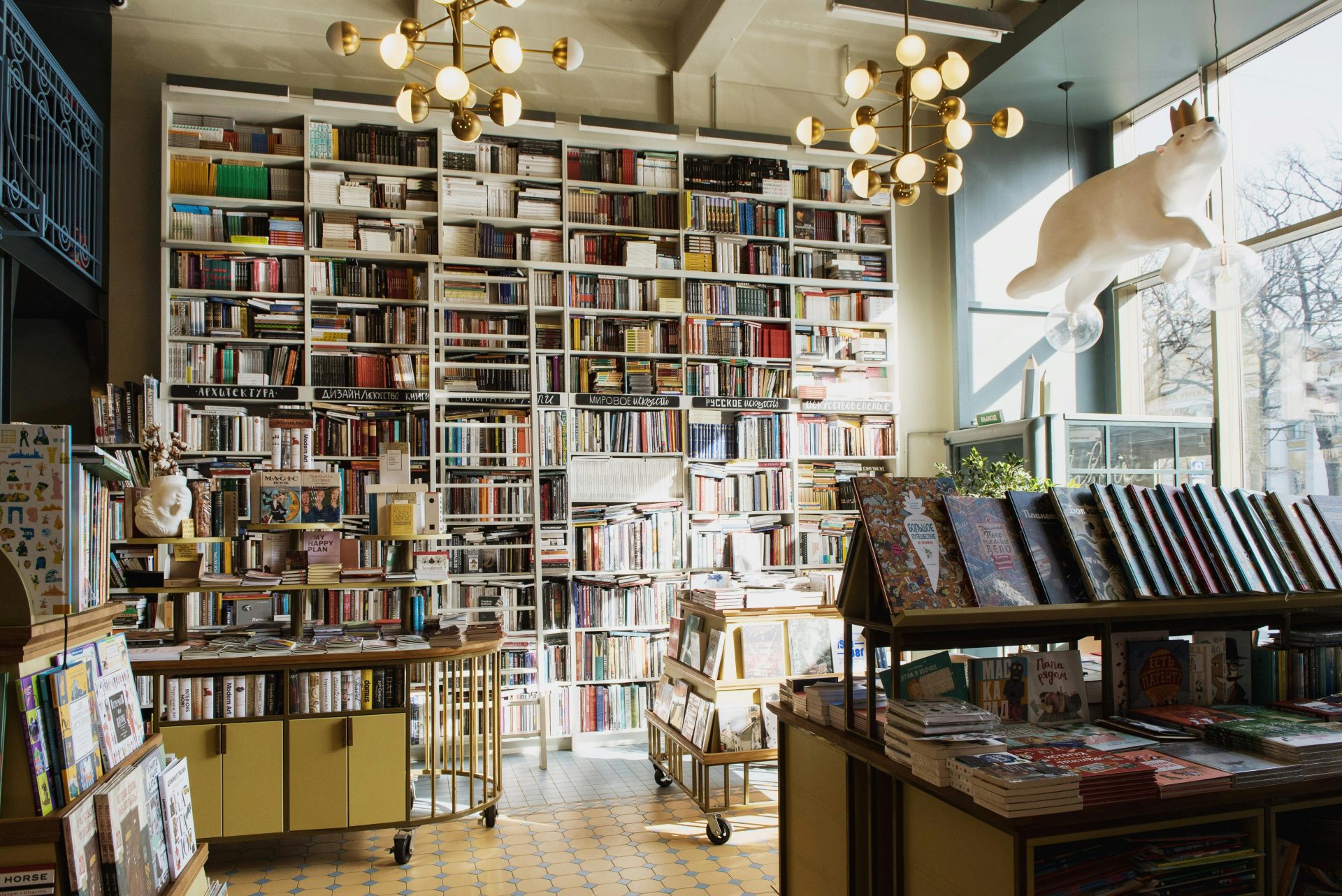 Bright and inviting bookstore interior featuring tall bookshelves filled with diverse books and a whimsical ceiling decor.
